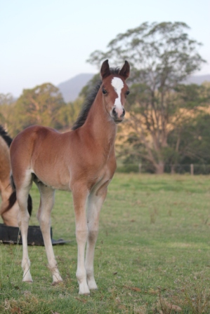 Andy_stand_15_days_small