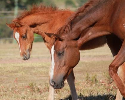 Bob_Web_26_10_2013_2