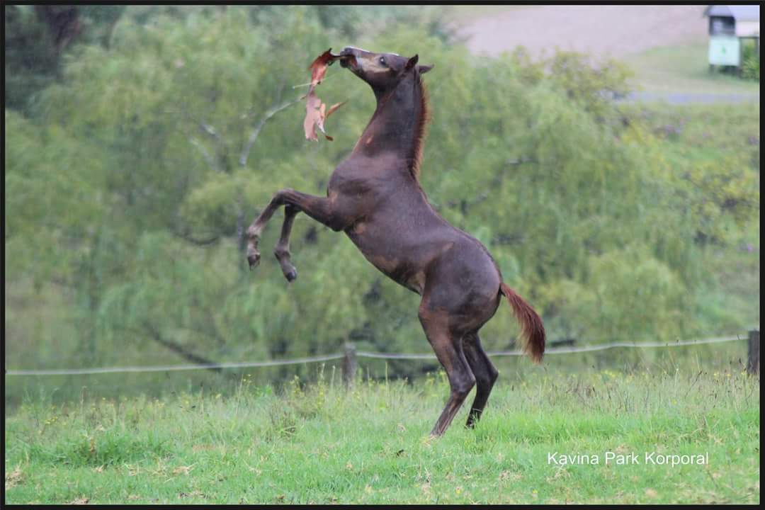 FB_IMG_1455167388452