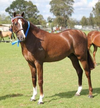 Kappy_Dec_2013_web_1