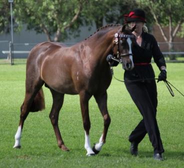 Kappy_Dec_2013_web_2