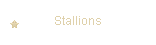 Stallions